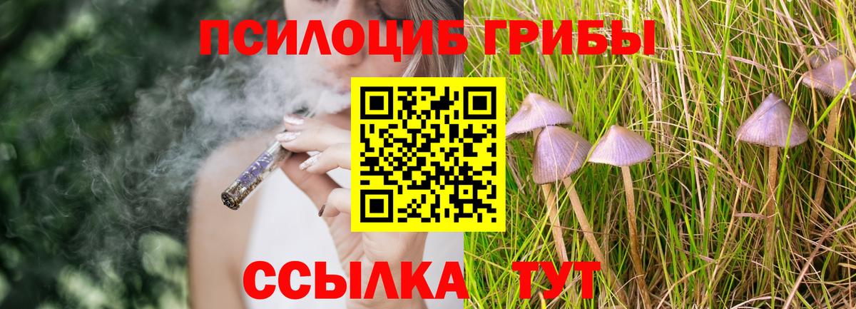 Минеральные Воды  где продают наркотики  Галлюциногенные грибы Psilocybe  Вход с VPN  Псилоцибиновые грибы GOLDEN TEACHER 